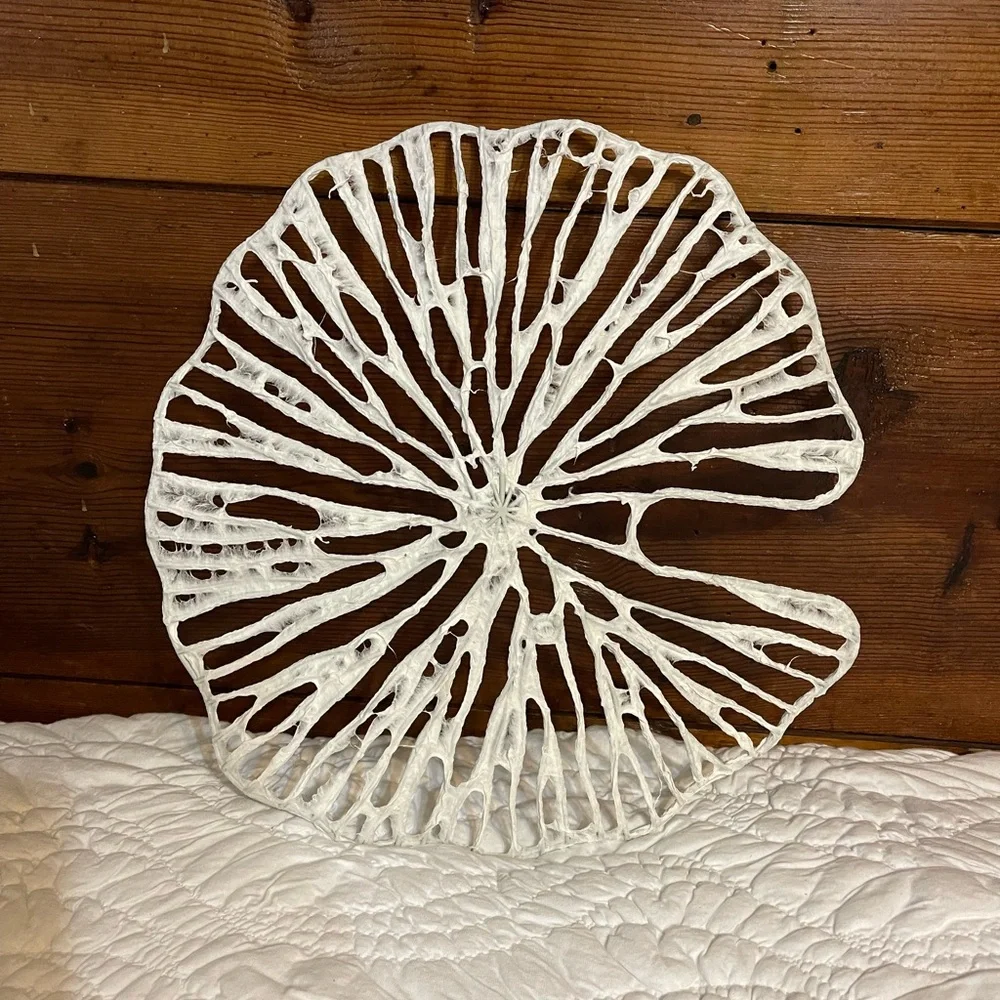 New Anthropologie Sand Dollar Paper Wall Hangings, Set of 3 - Picture 7 of 10